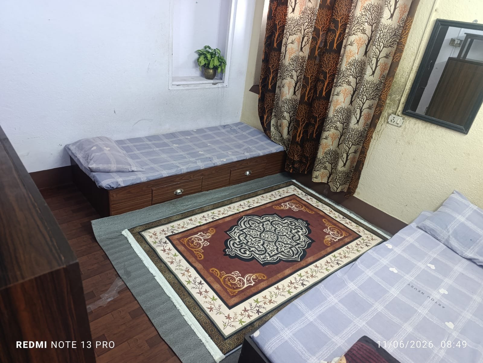 Tulip Girls Hostel