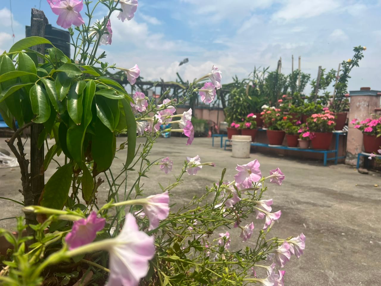 Matribhumi Girls Hostel N
