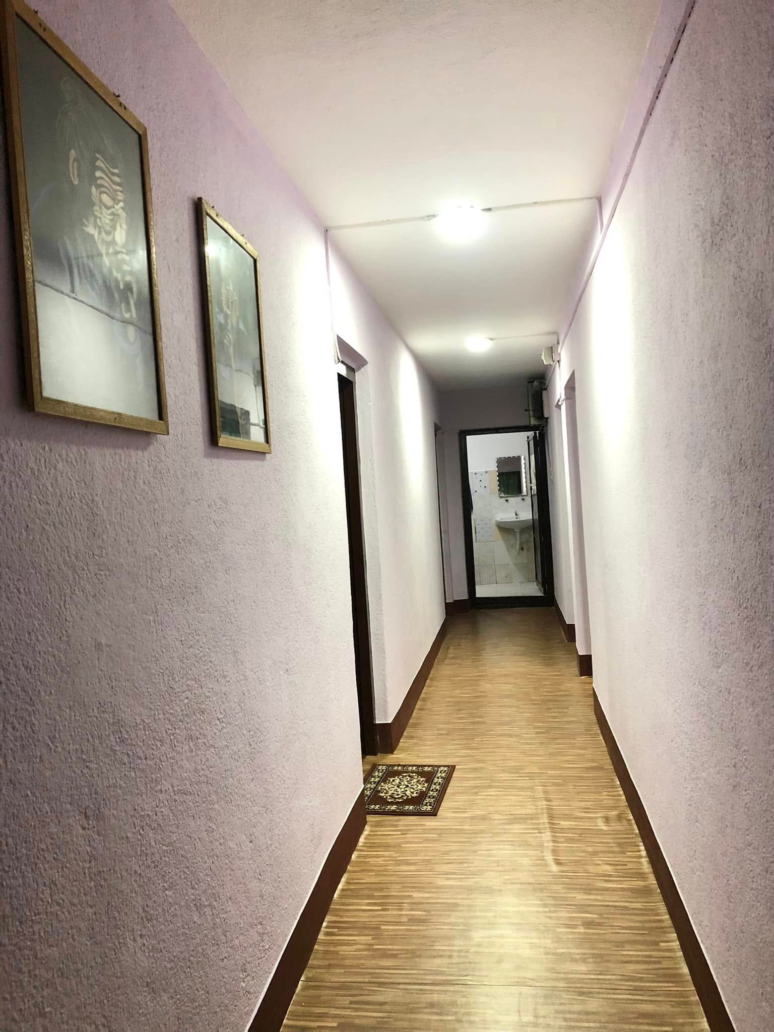 Tulip Girls Hostel